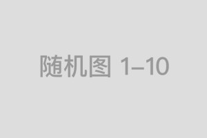 兽医兼职遛狗遭遇抢劫，导盲犬失踪引发感人故事